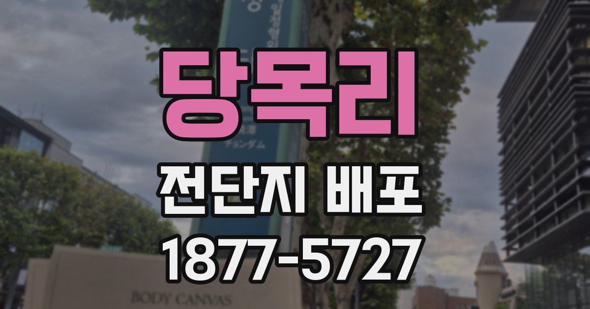 당목리 전단지 배포