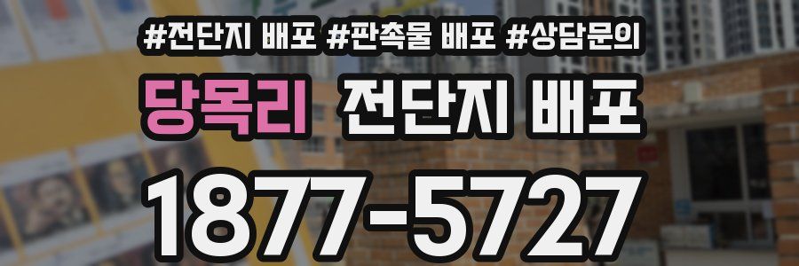 당목리 전단지 배포