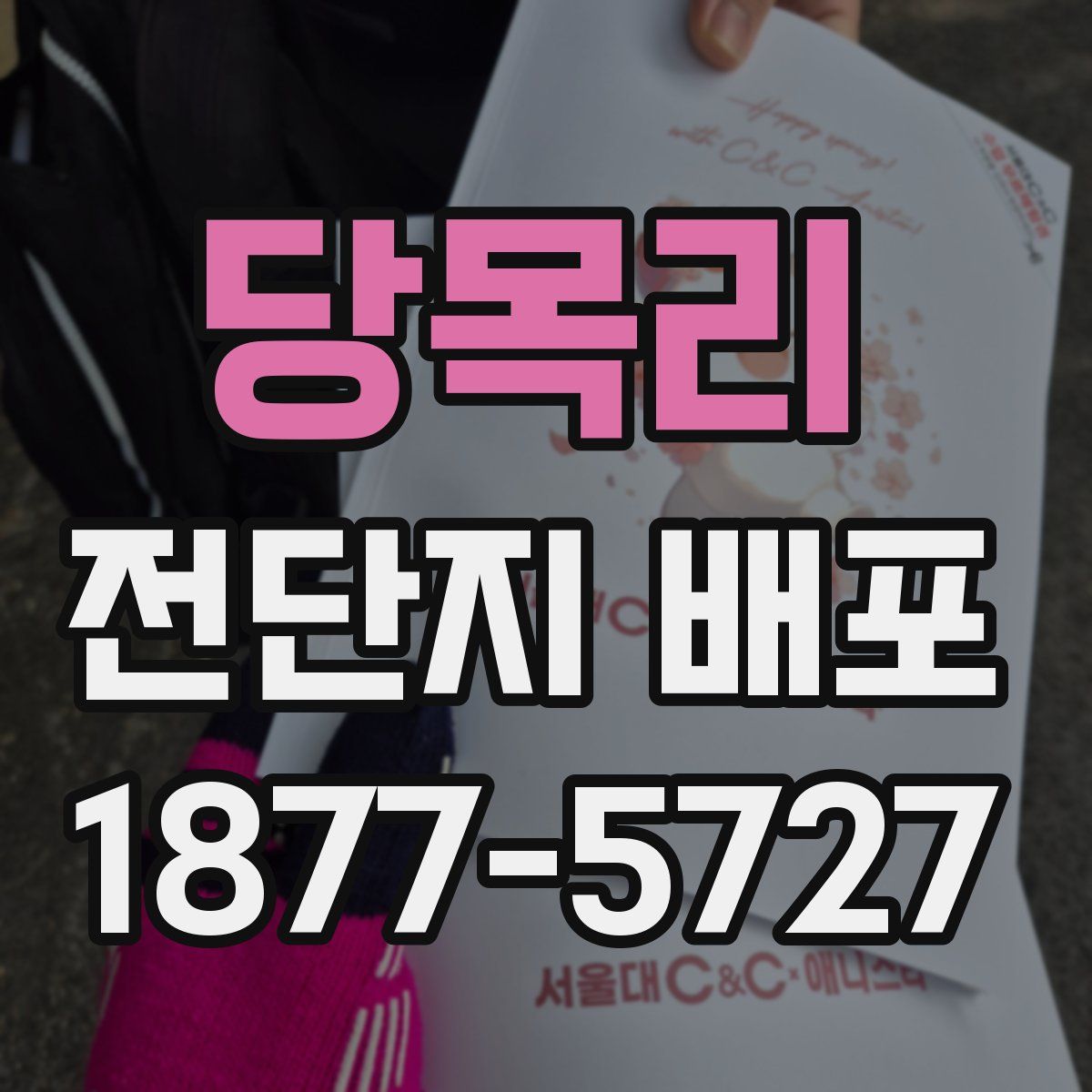 당목리 전단지 배포