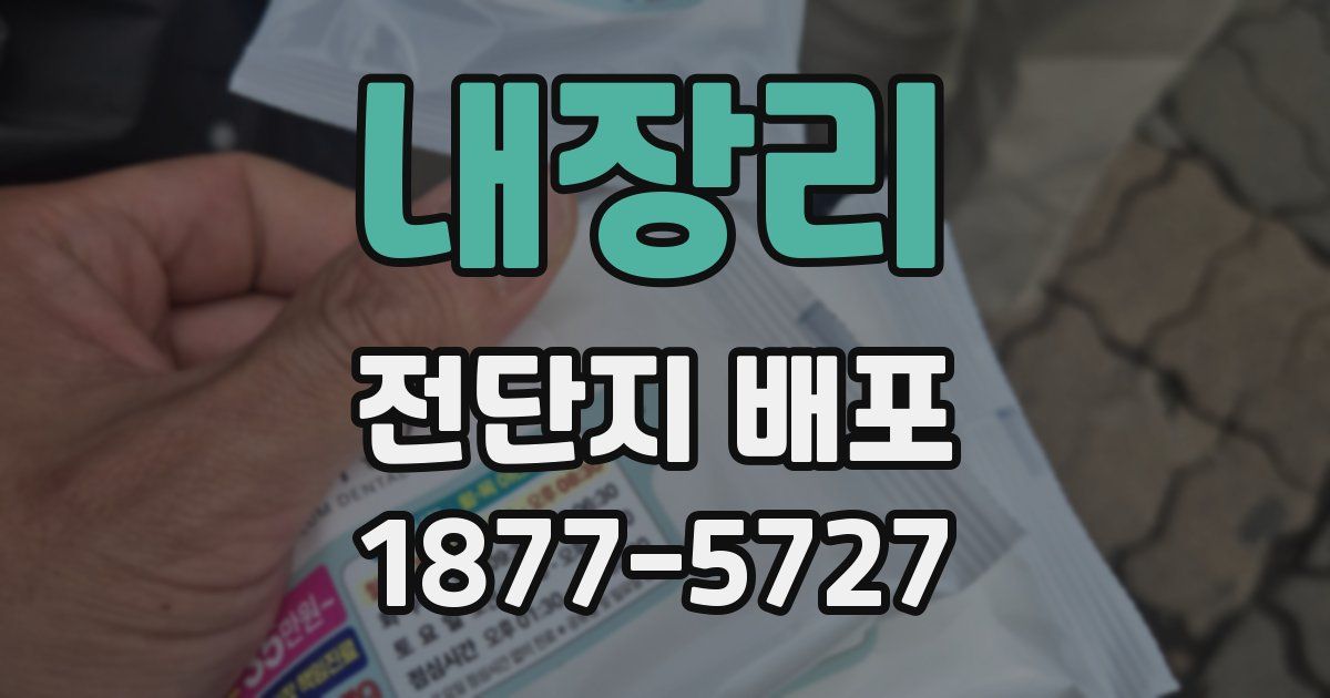 내장리 전단지 배포