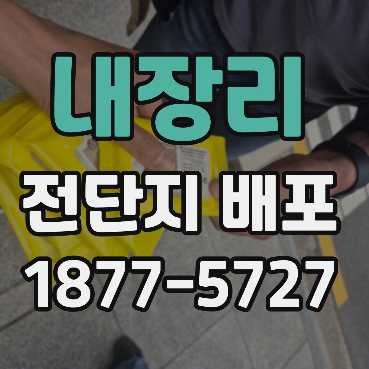 내장리 전단지 배포