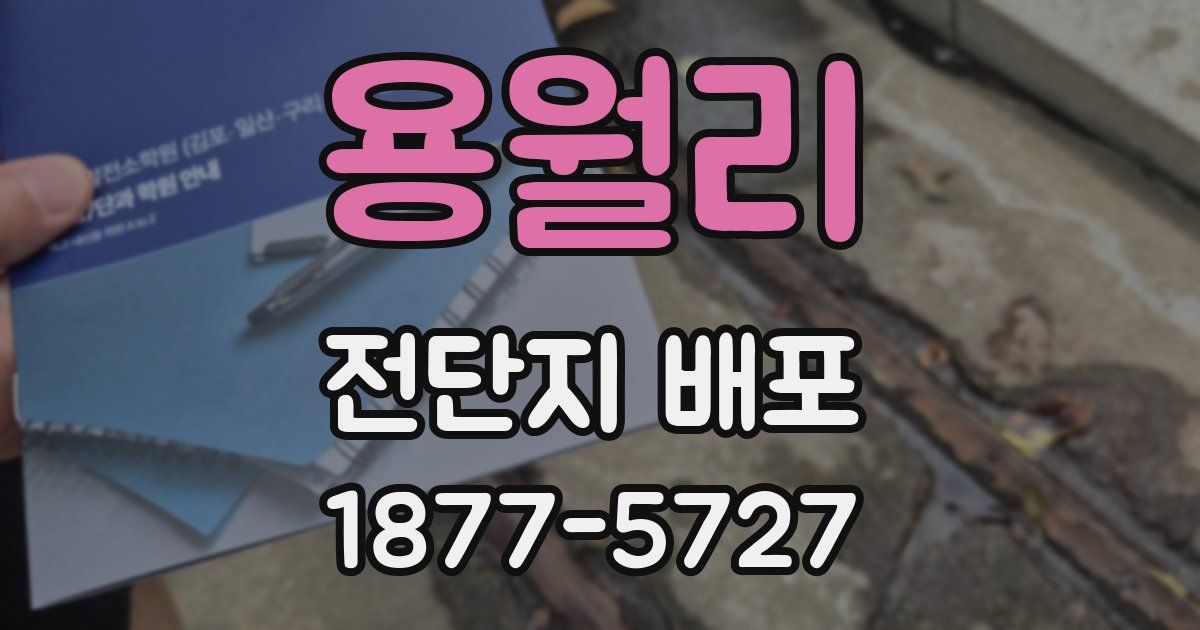 용월리 전단지 배포