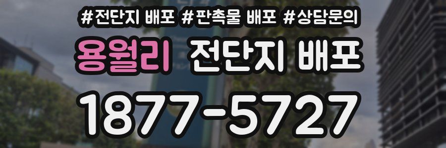 용월리 전단지 배포