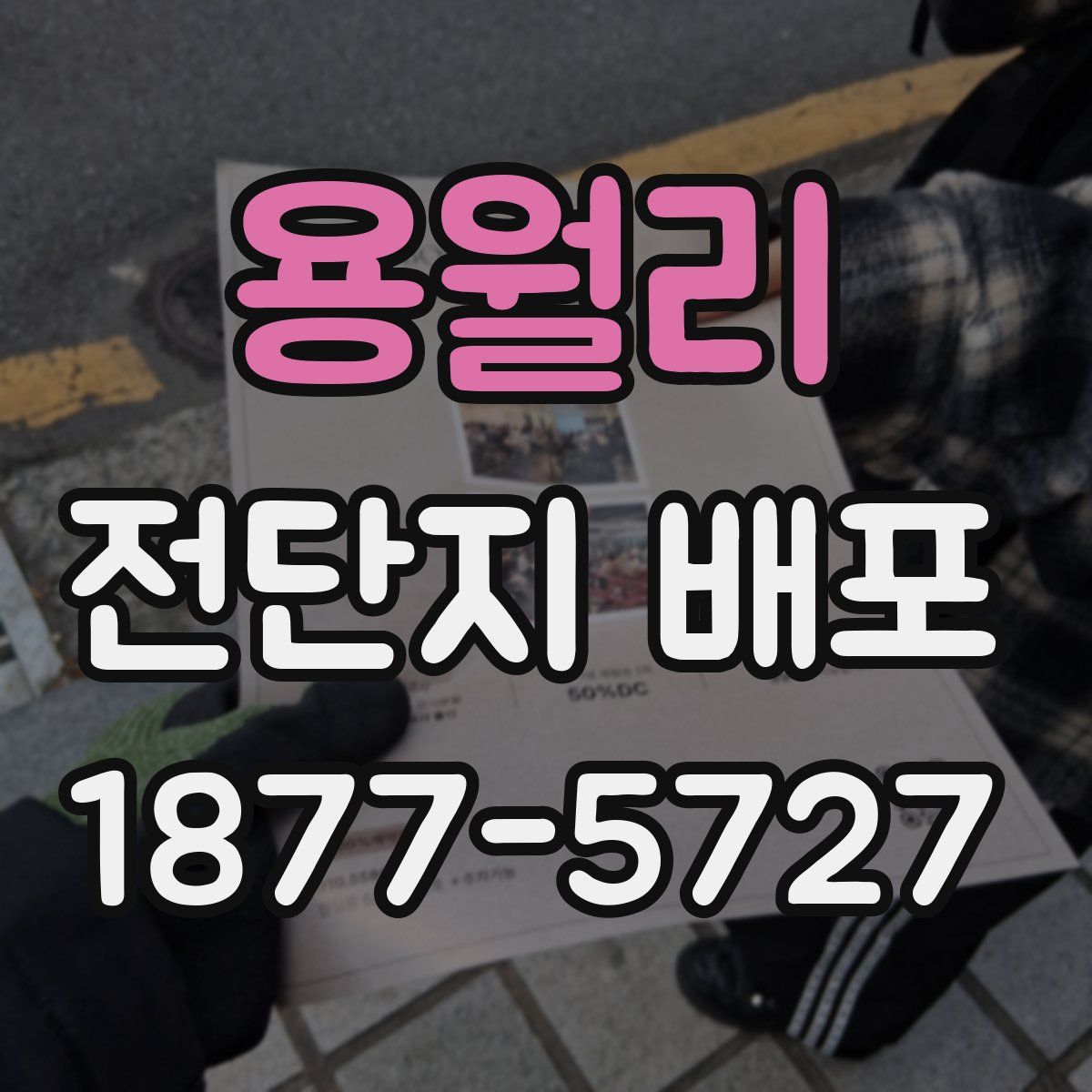 용월리 전단지 배포