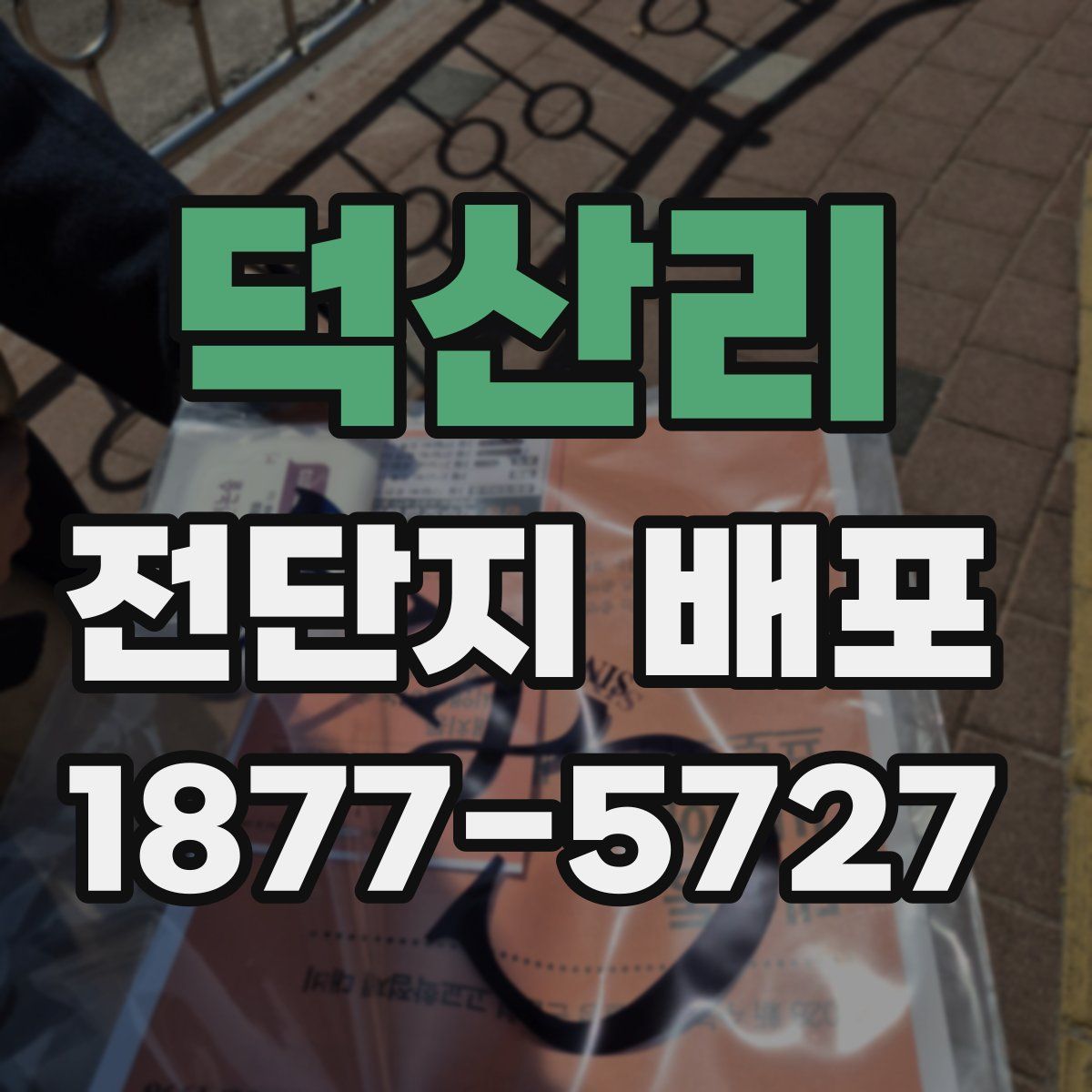 덕산리 전단지 배포