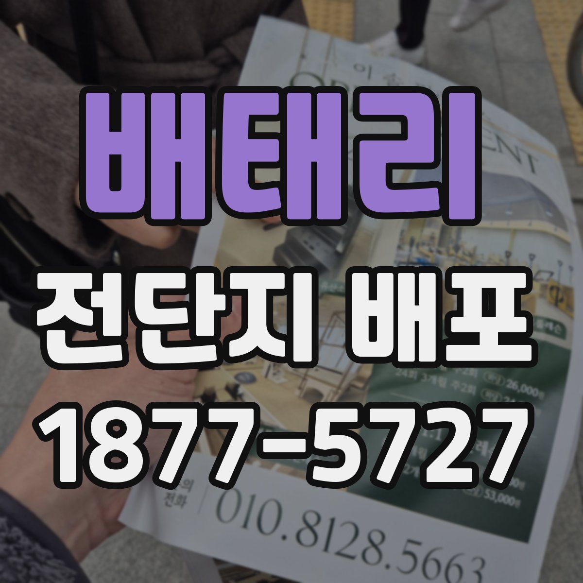 배태리 전단지 배포