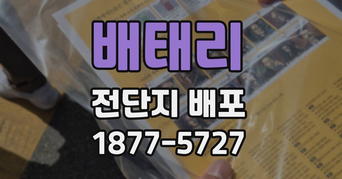 배태리 전단지 배포