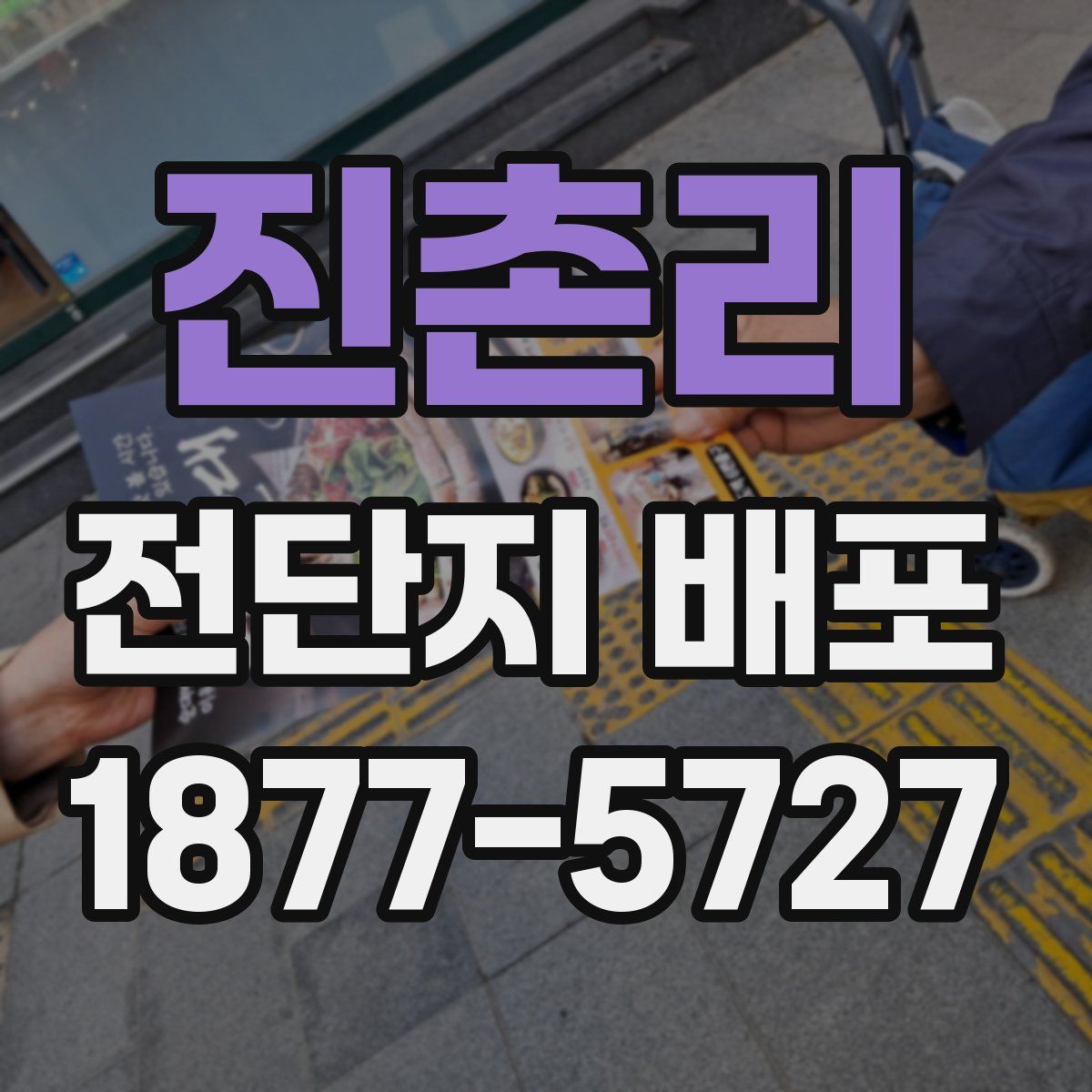진촌리 전단지 배포