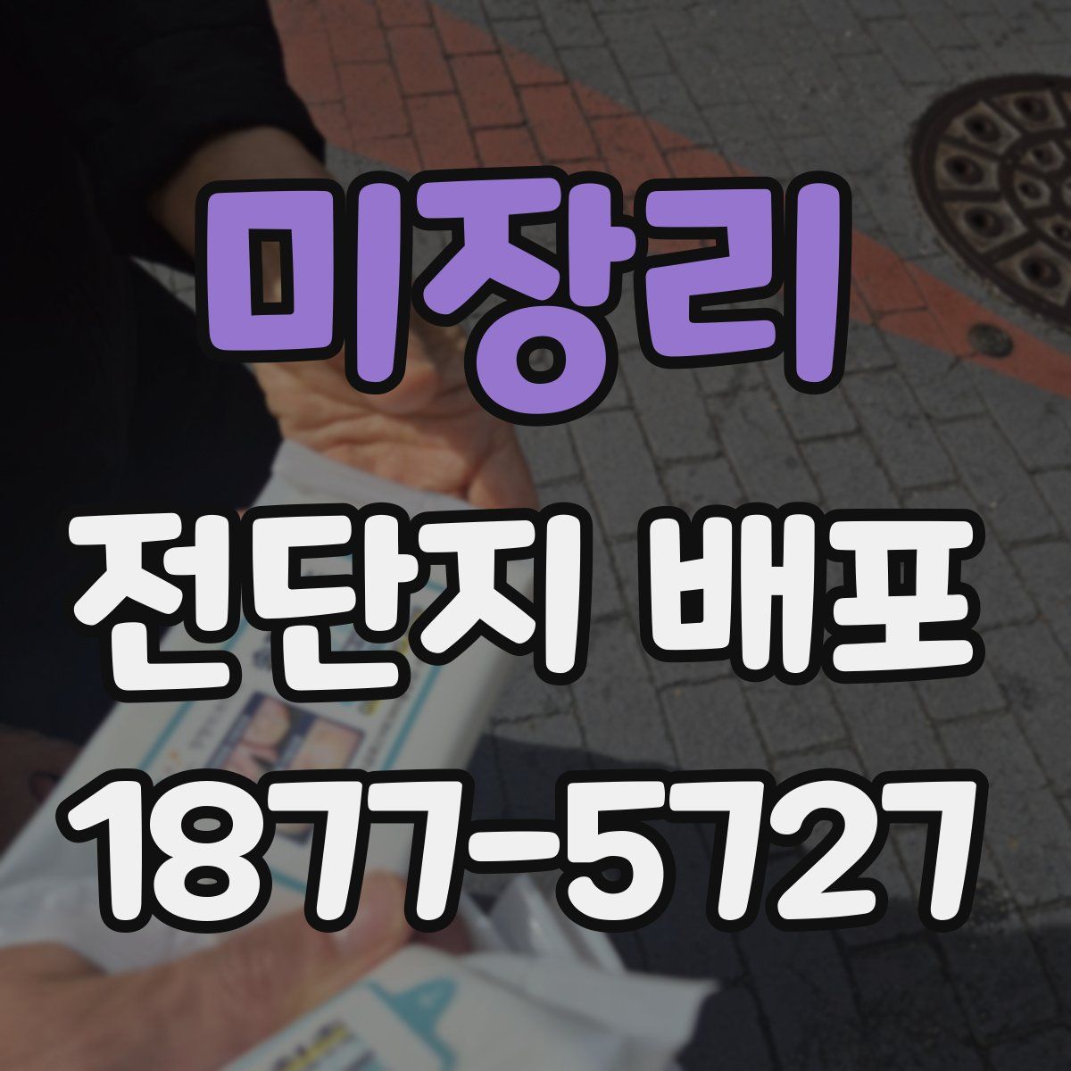 미장리 전단지 배포