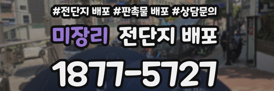 미장리 전단지 배포