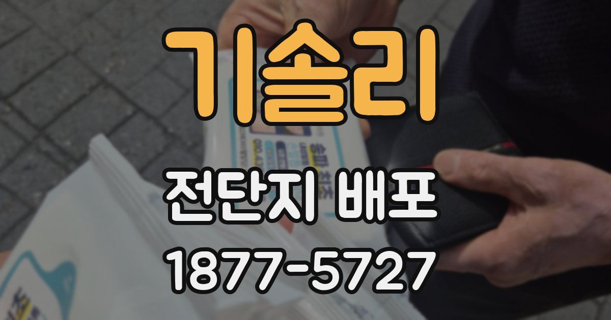 기솔리 전단지 배포