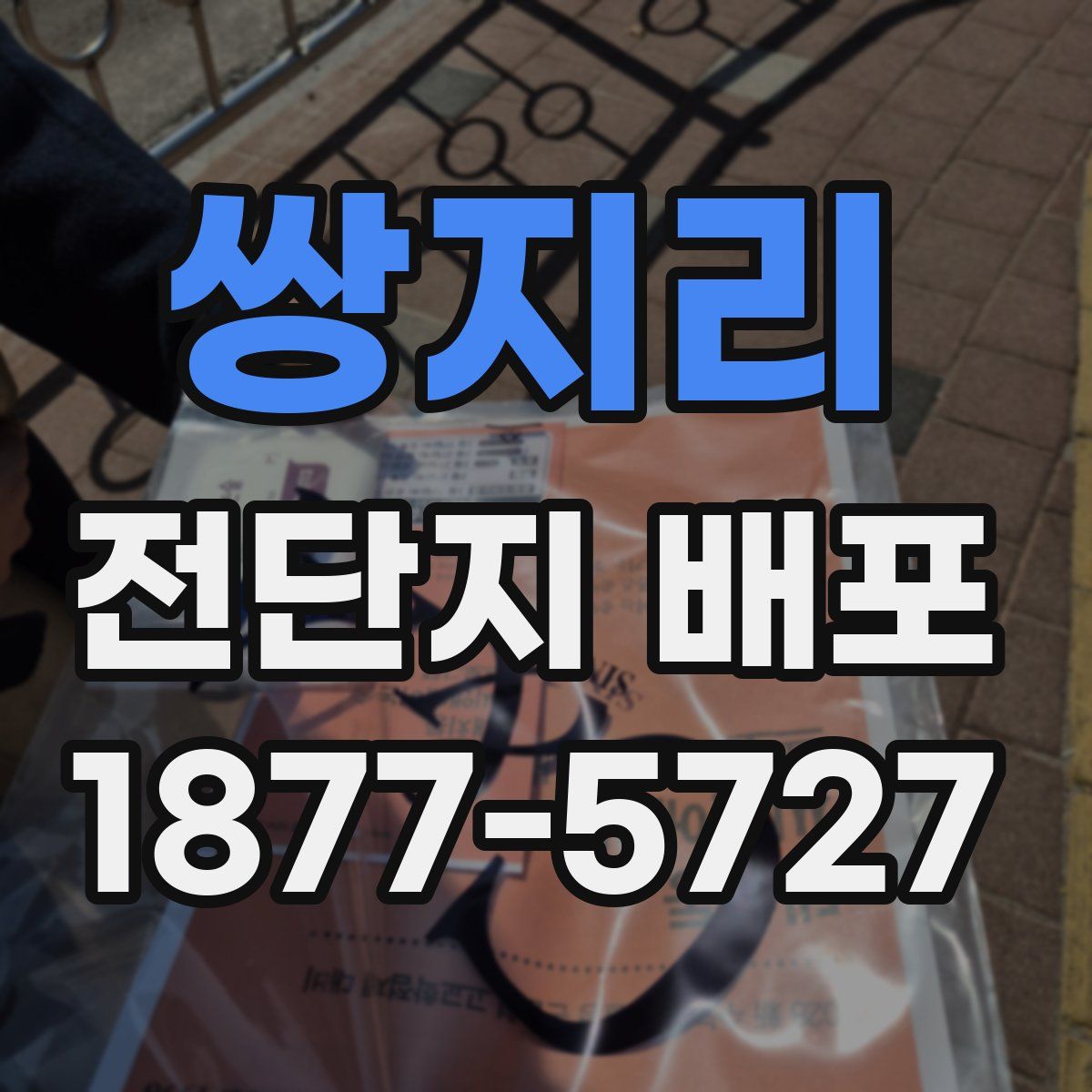 쌍지리 전단지 배포