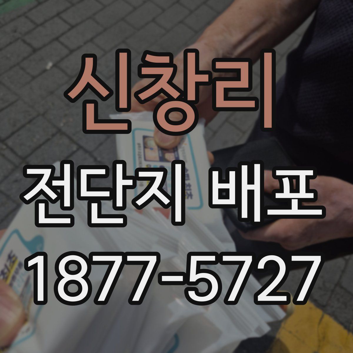 신창리 전단지 배포