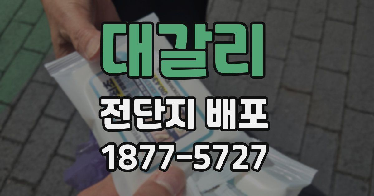 대갈리 전단지 배포