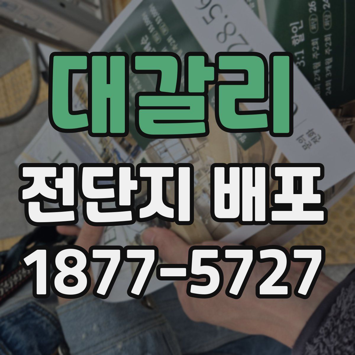 대갈리 전단지 배포