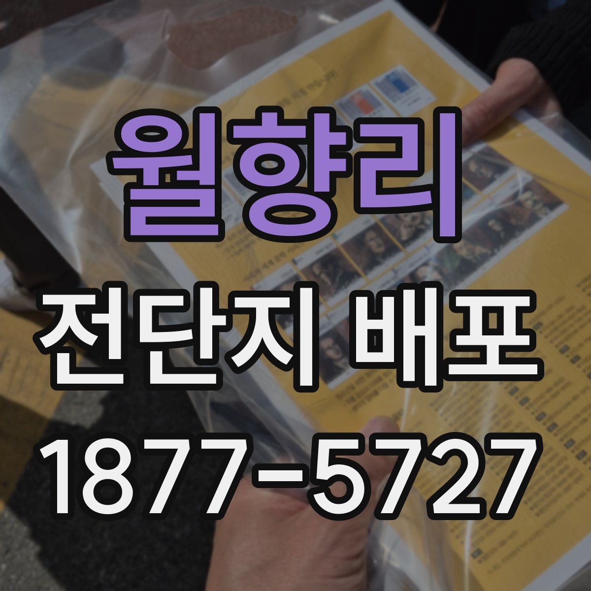 월향리 전단지 배포