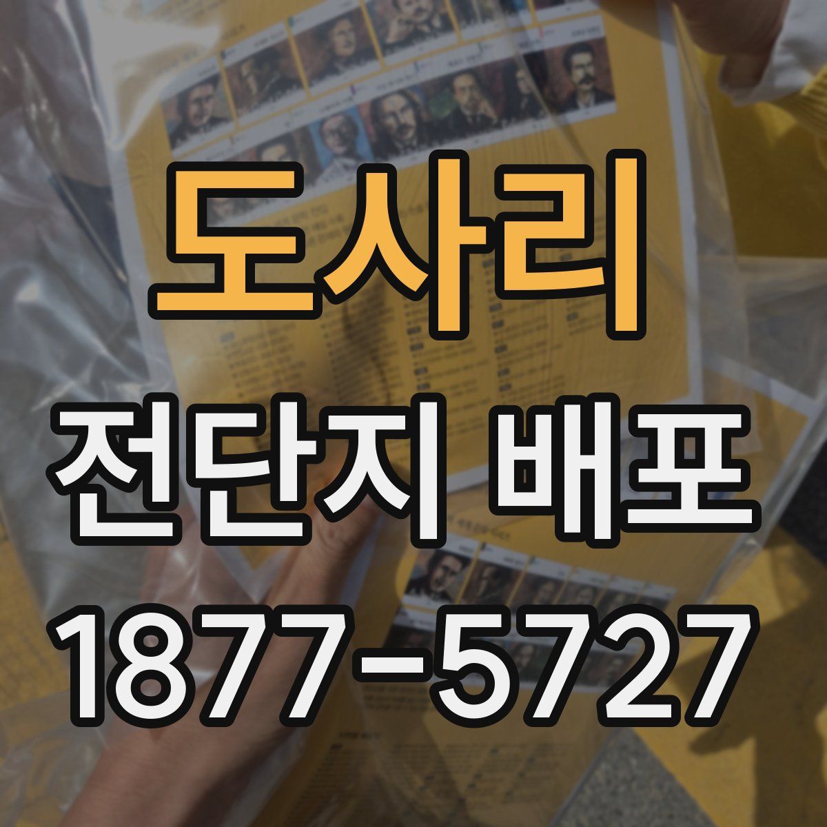 도사리 전단지 배포