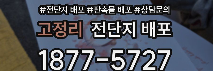 고정리 전단지 배포