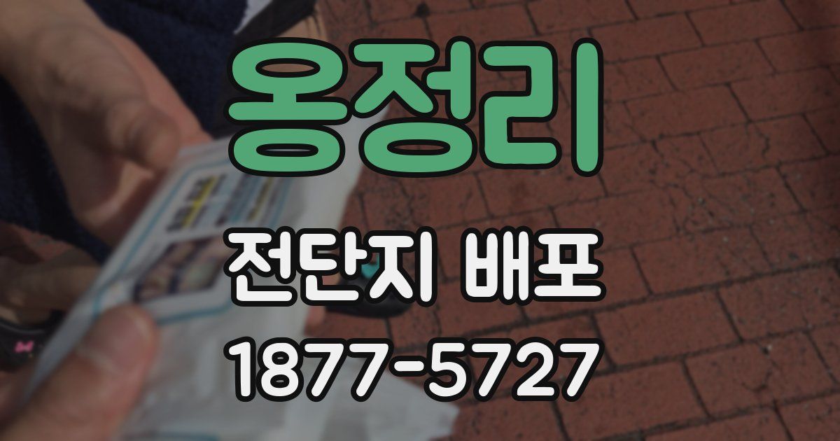 옹정리 전단지 배포