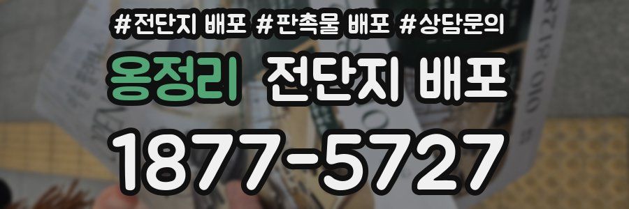 옹정리 전단지 배포