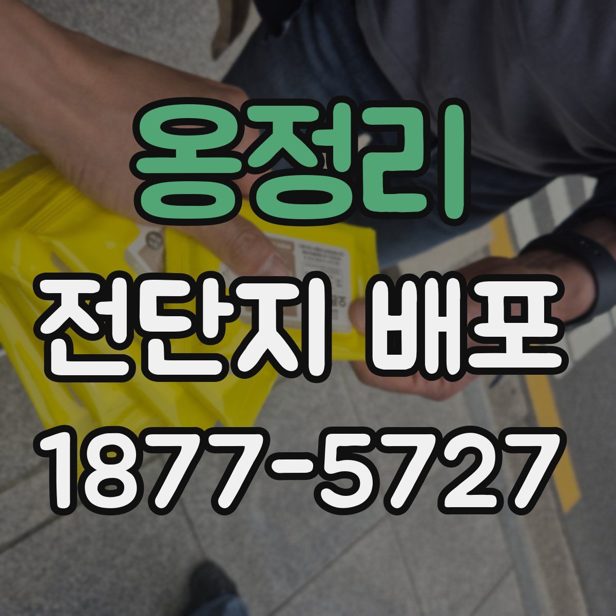 옹정리 전단지 배포