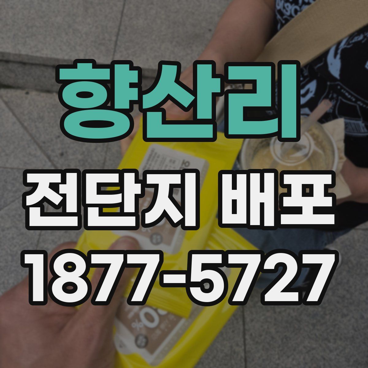 향산리 전단지 배포