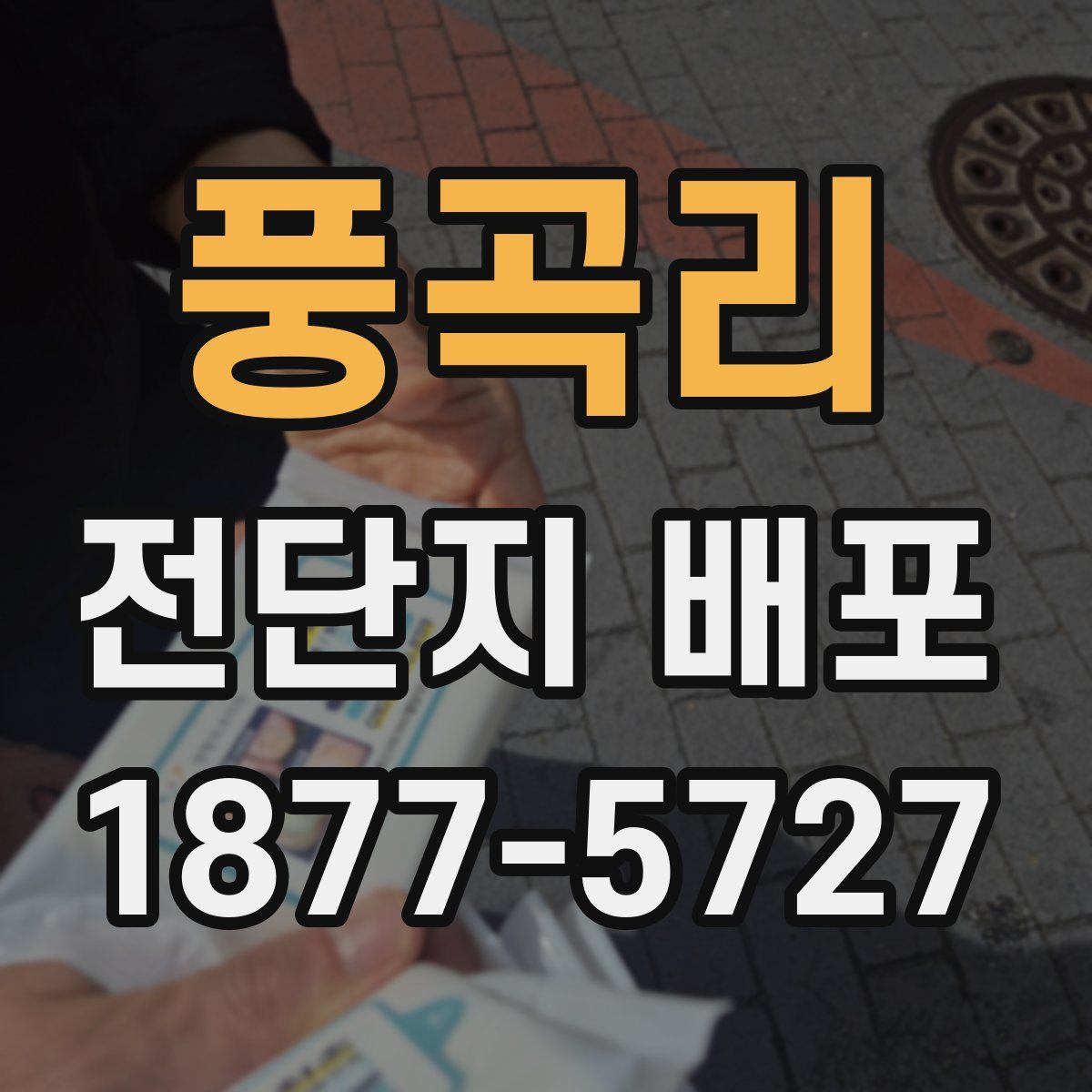 풍곡리 전단지 배포