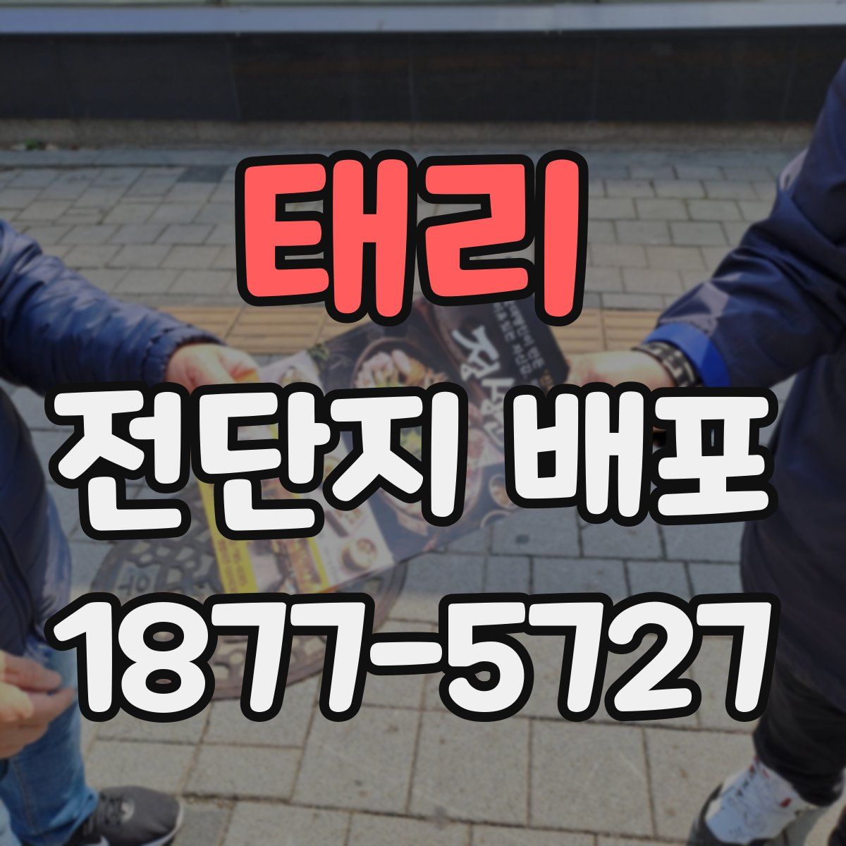 태리 전단지 배포