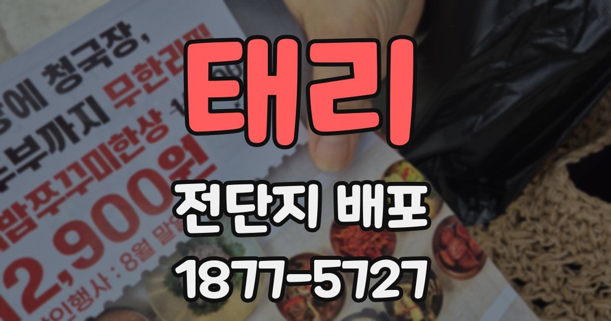 태리 전단지 배포