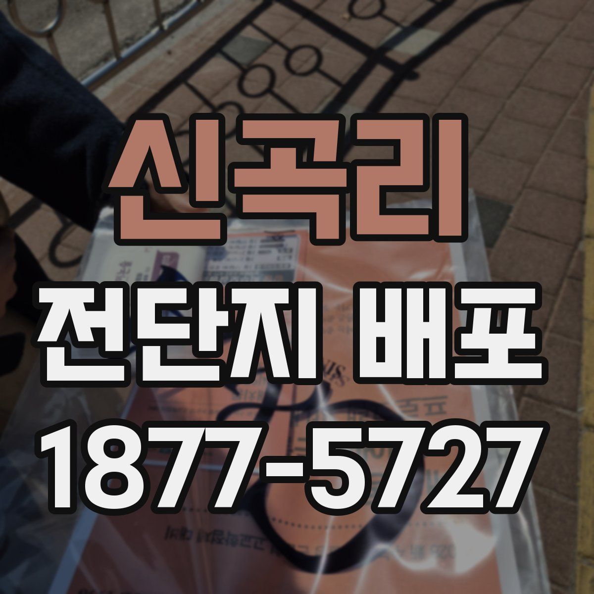 신곡리 전단지 배포