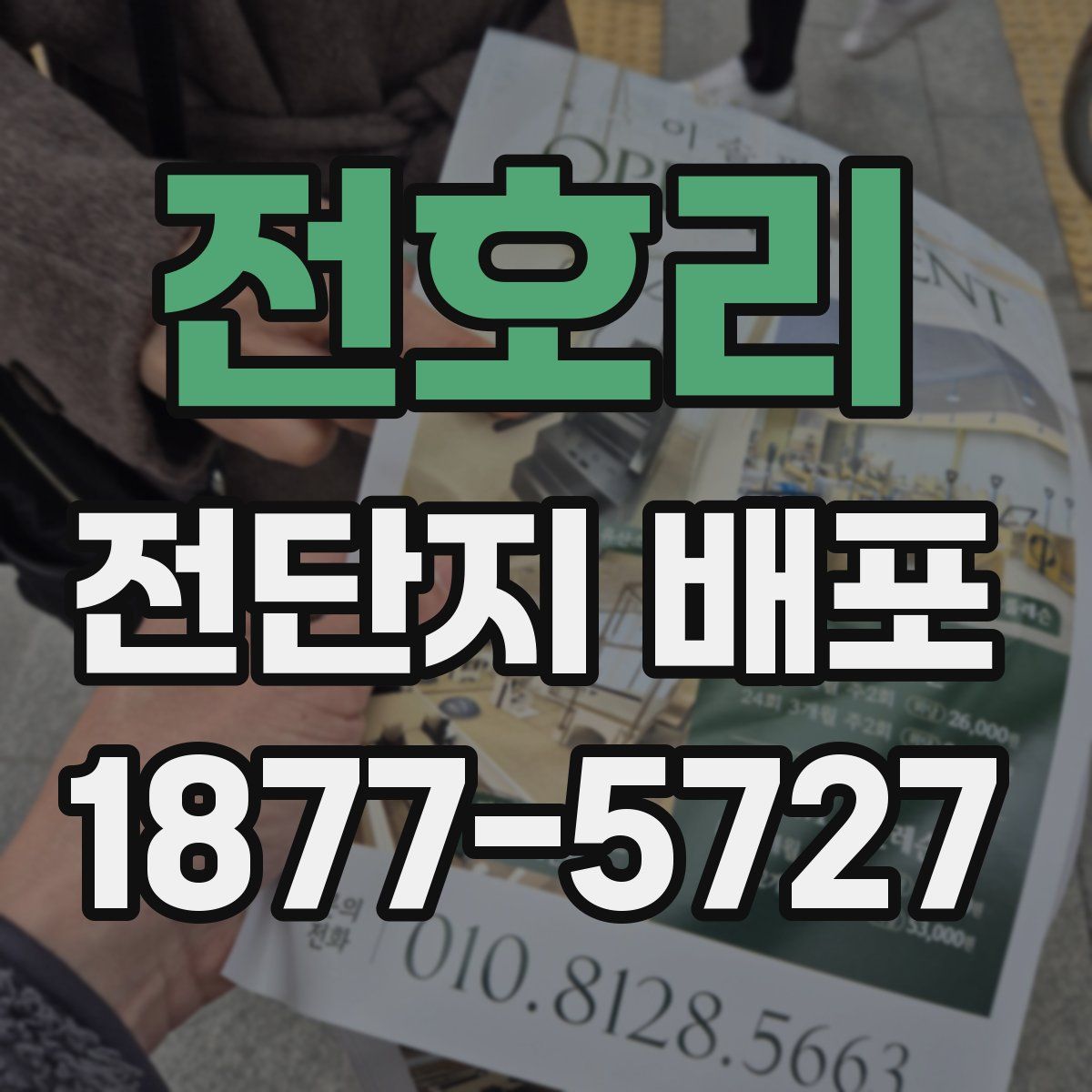 전호리 전단지 배포