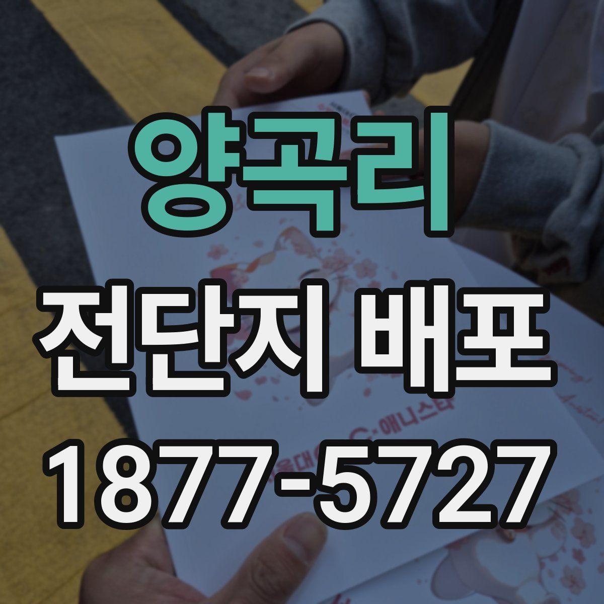 양곡리 전단지 배포