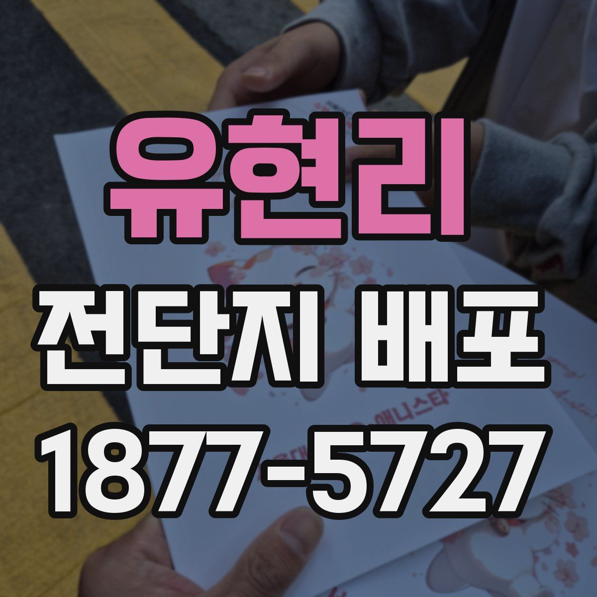 유현리 전단지 배포
