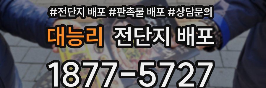대능리 전단지 배포