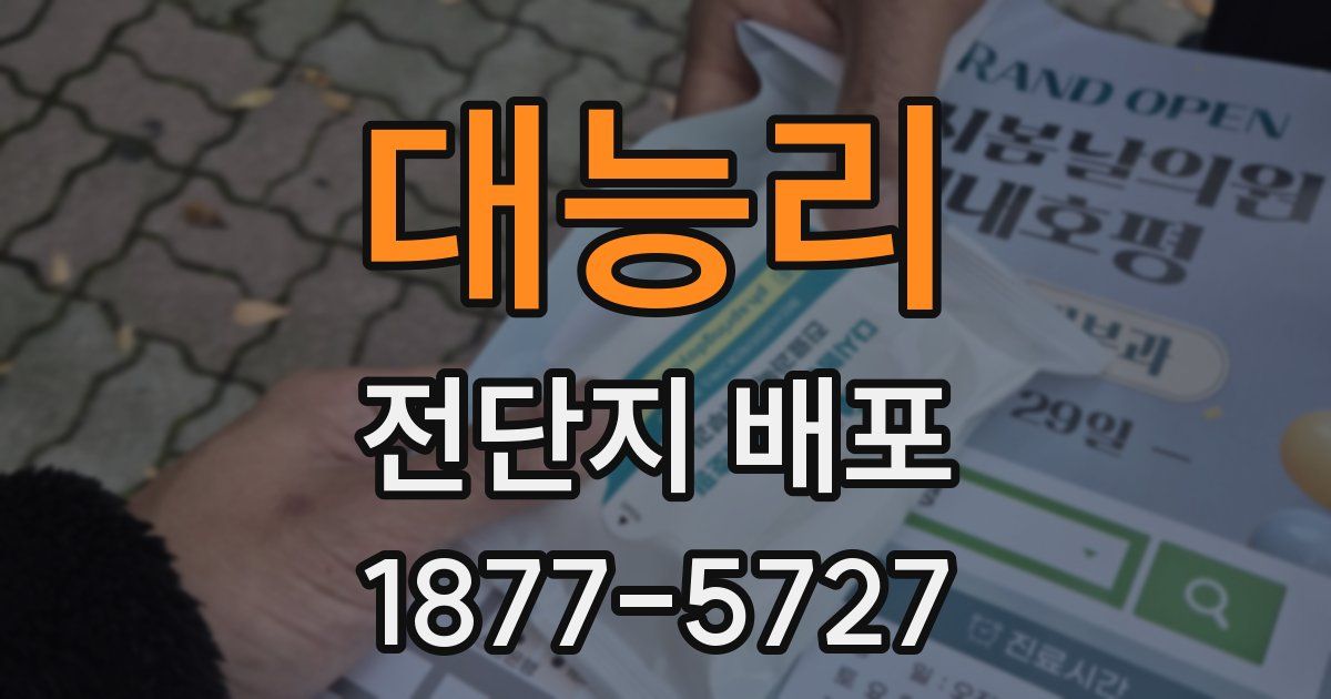 대능리 전단지 배포