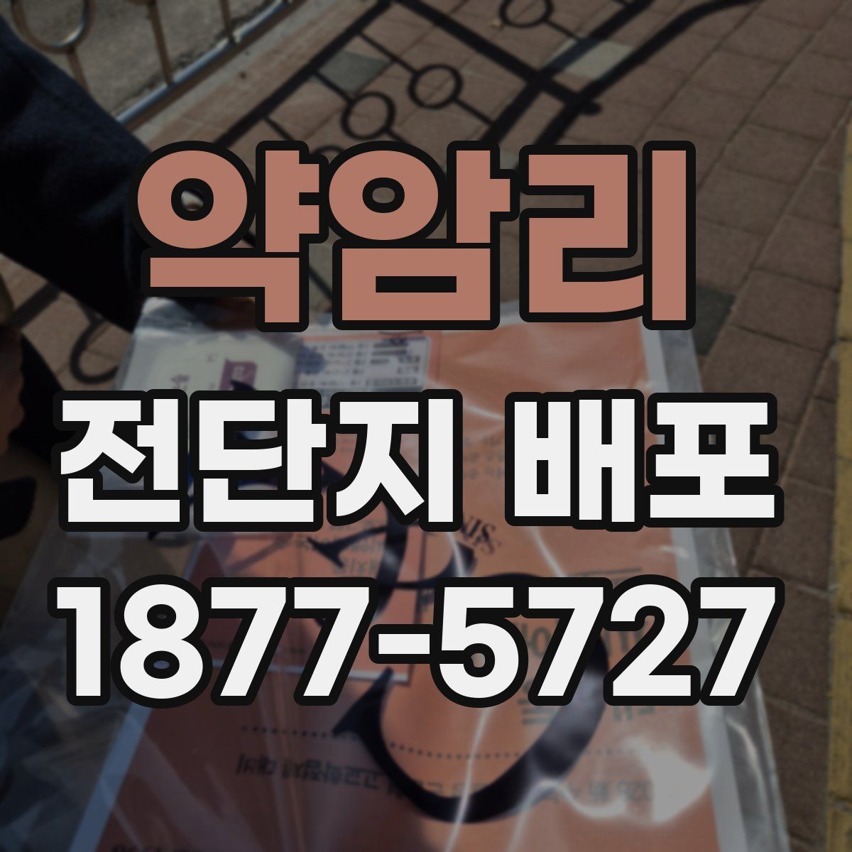 약암리 전단지 배포