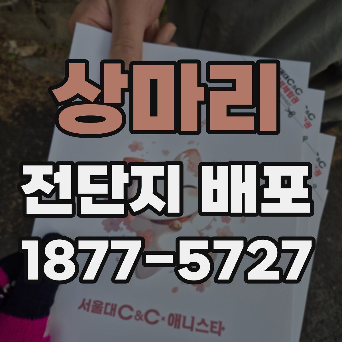 상마리 전단지 배포
