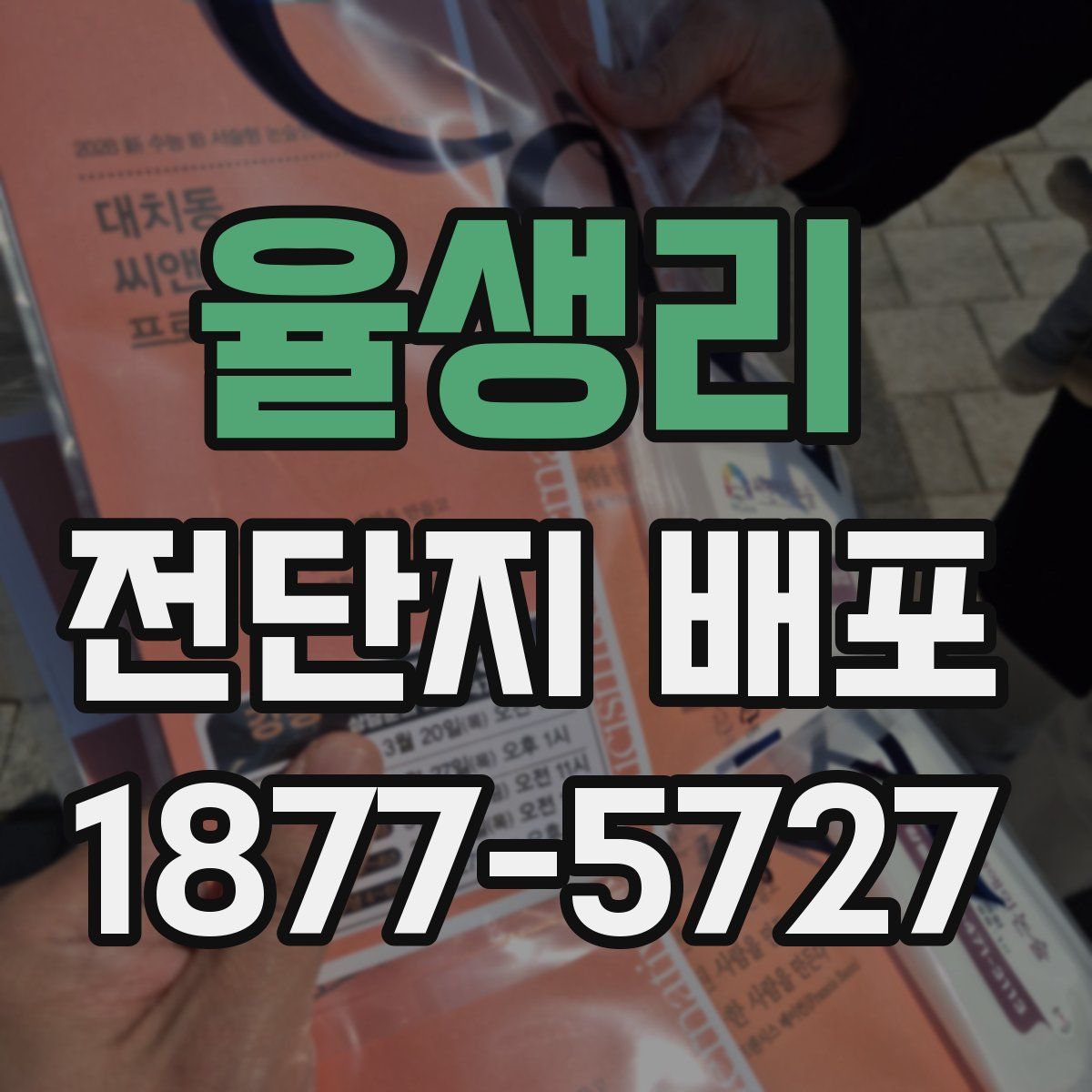 율생리 전단지 배포
