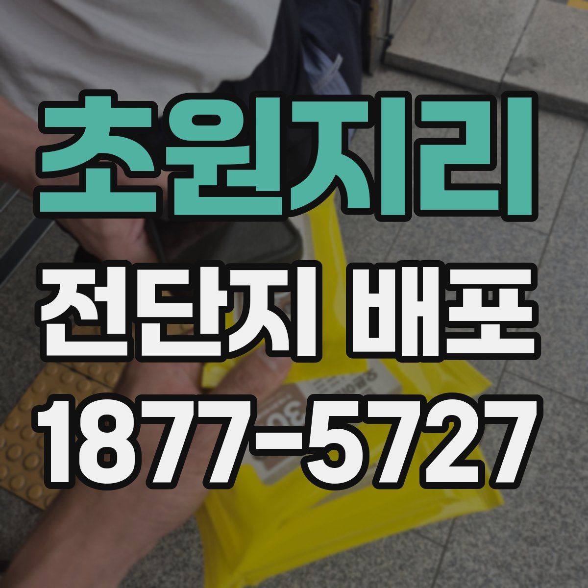 초원지리 전단지 배포