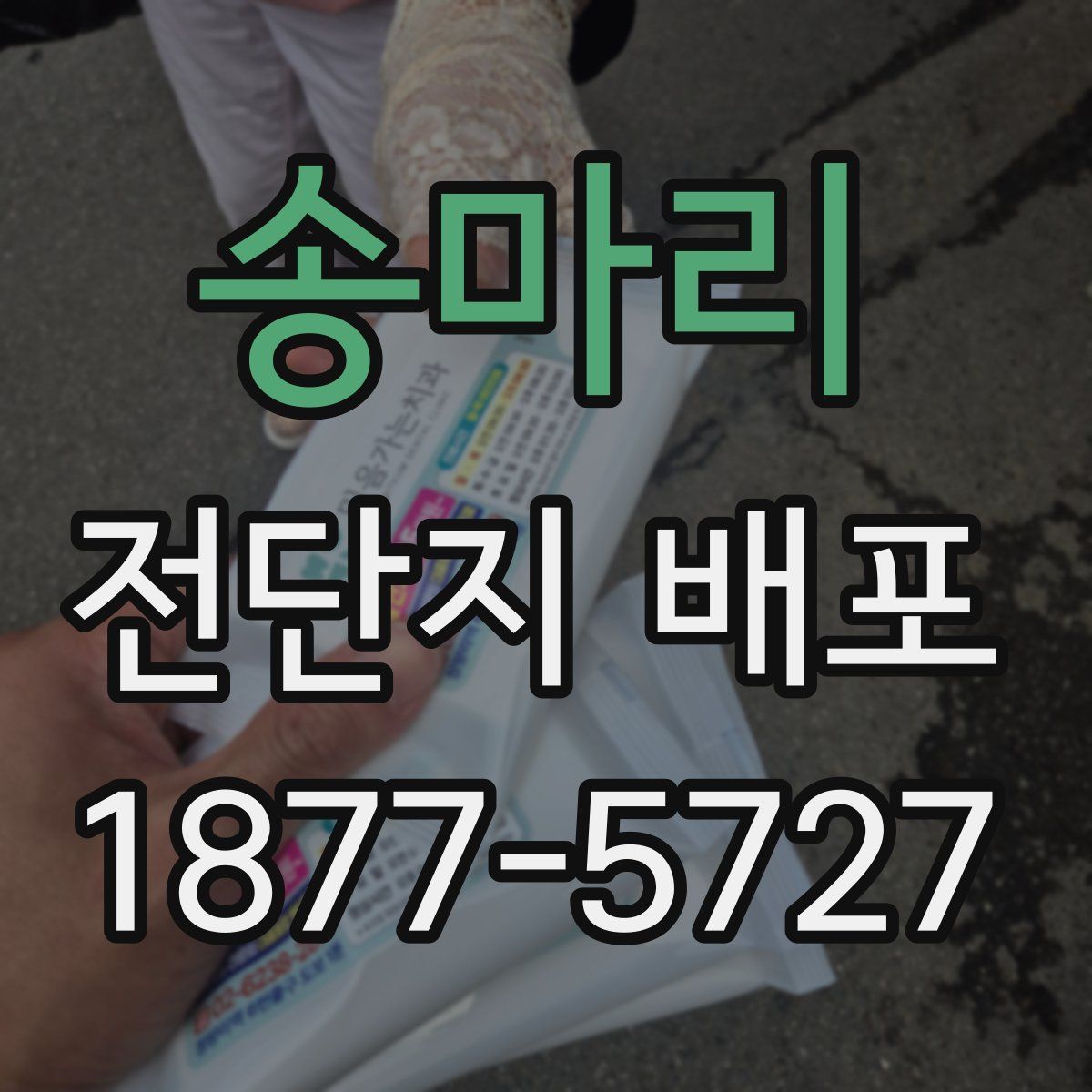 송마리 전단지 배포