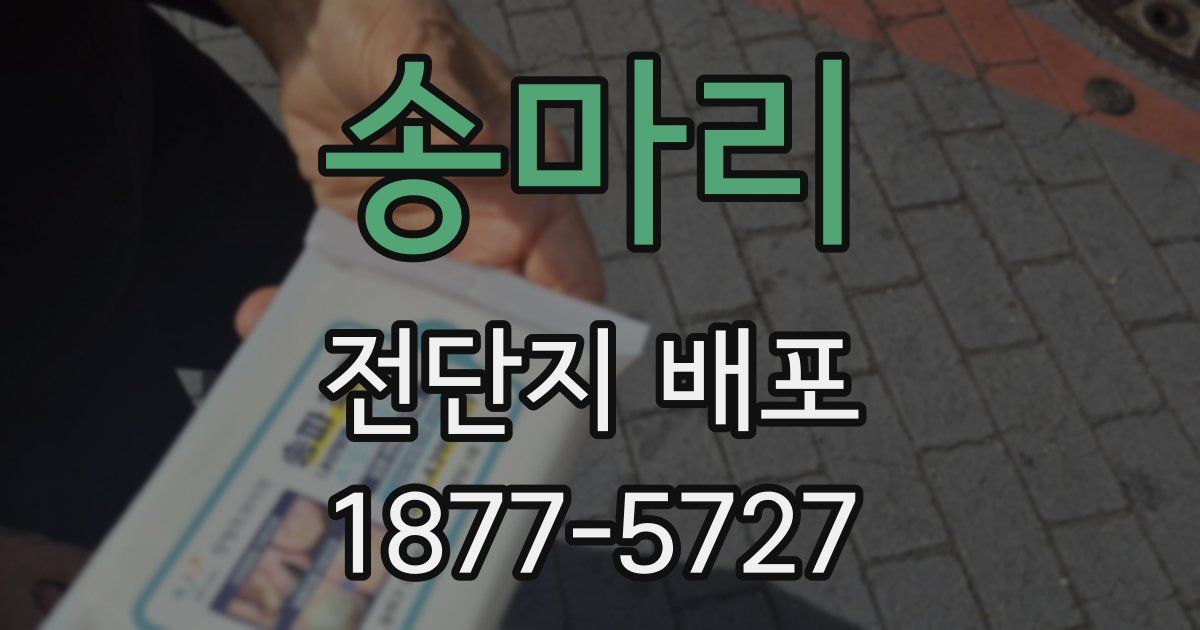 송마리 전단지 배포