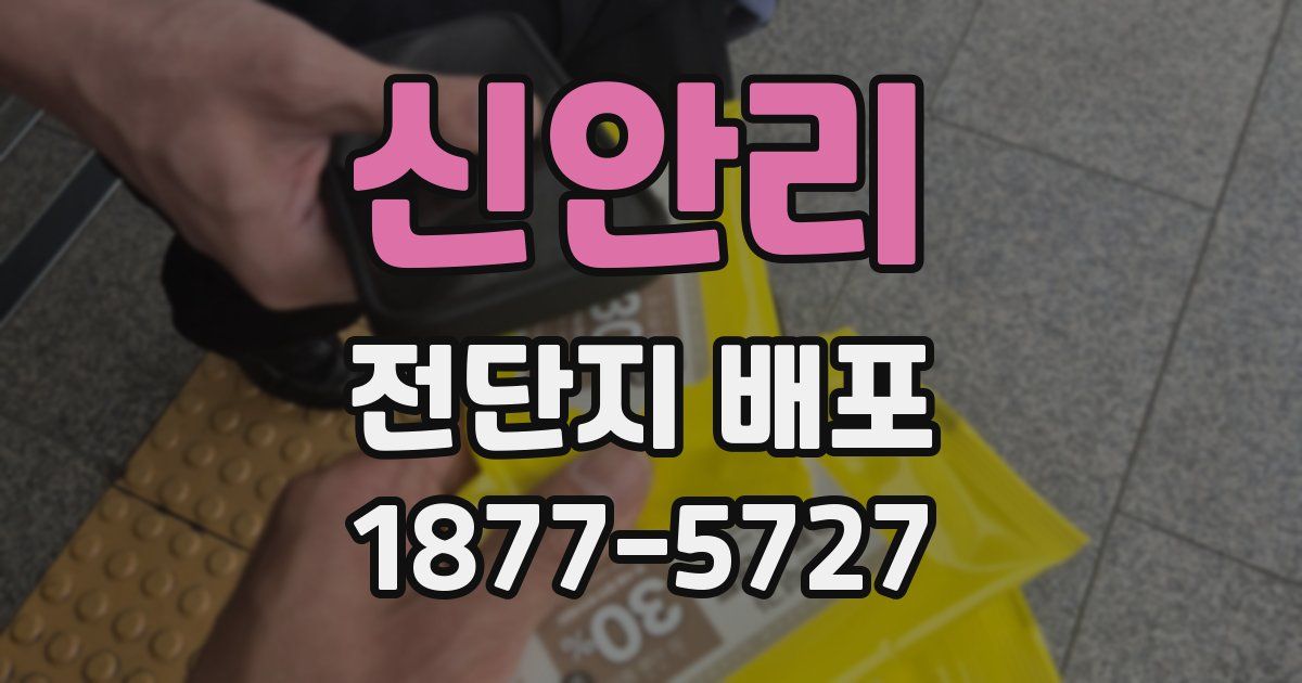 신안리 전단지 배포