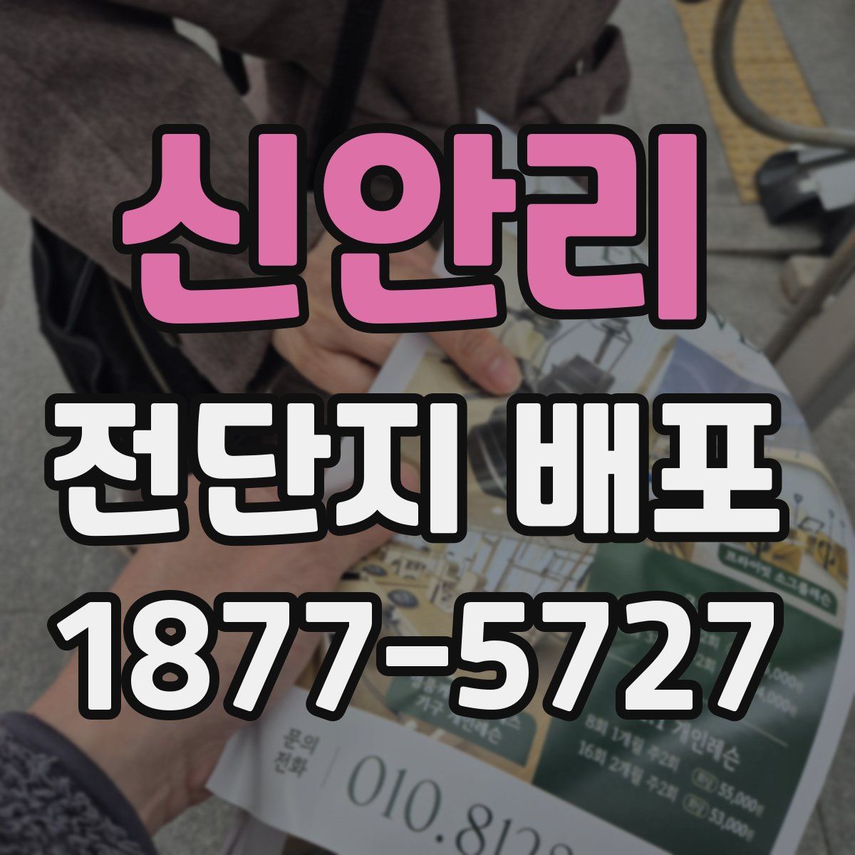 신안리 전단지 배포
