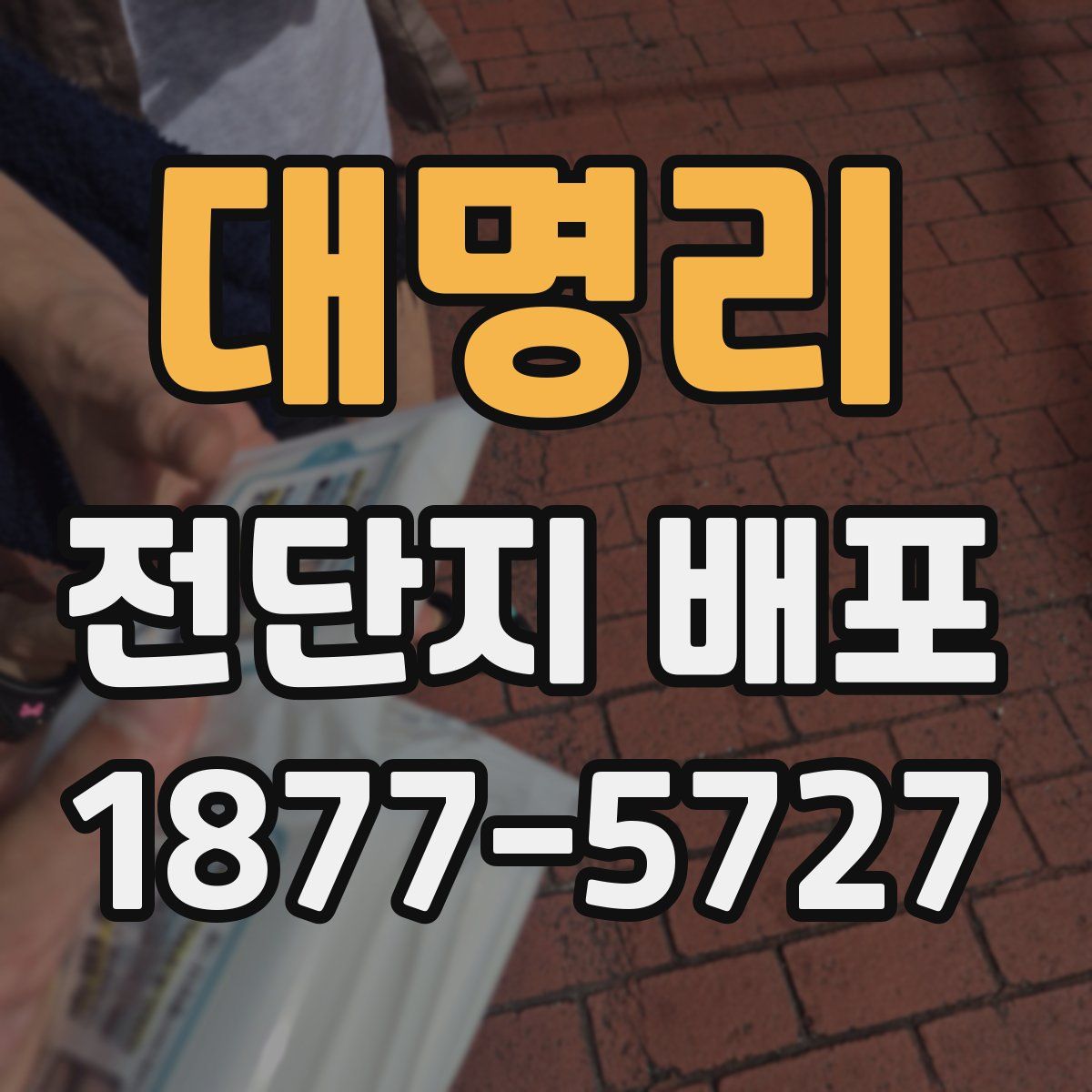 대명리 전단지 배포