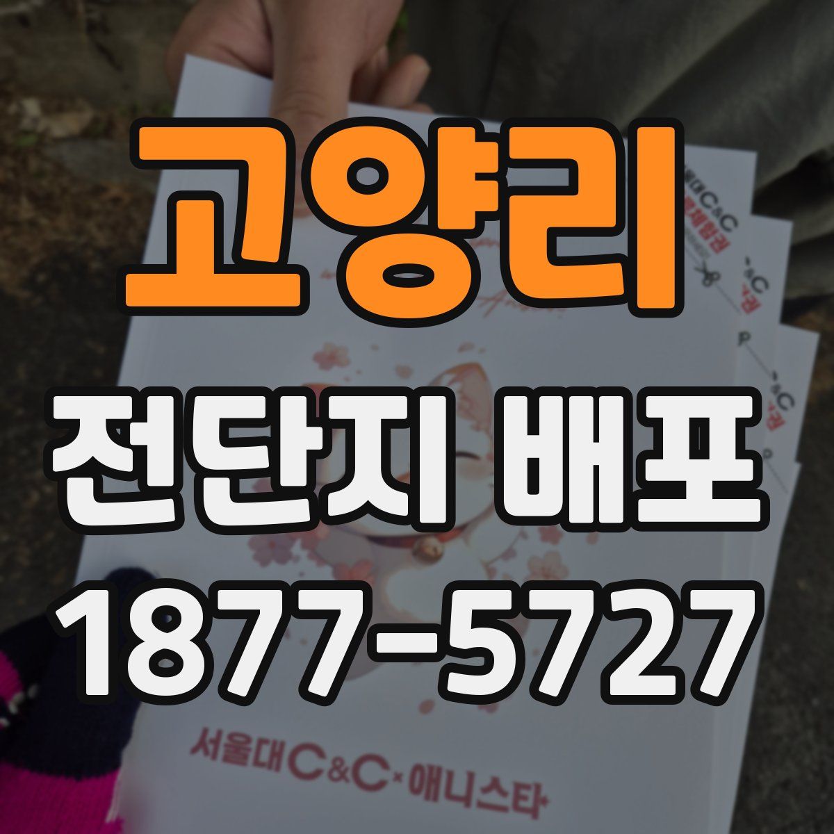 고양리 전단지 배포