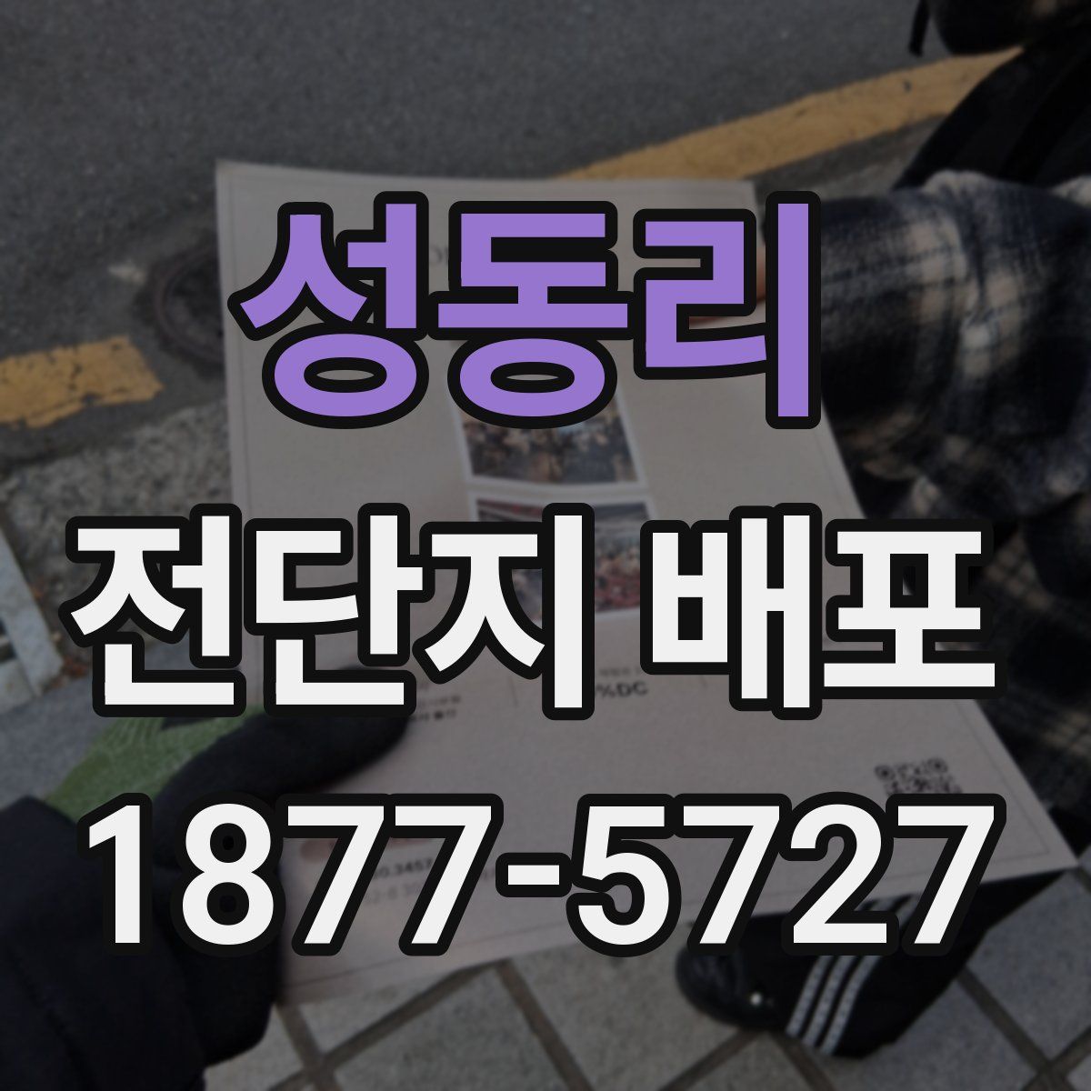 성동리 전단지 배포