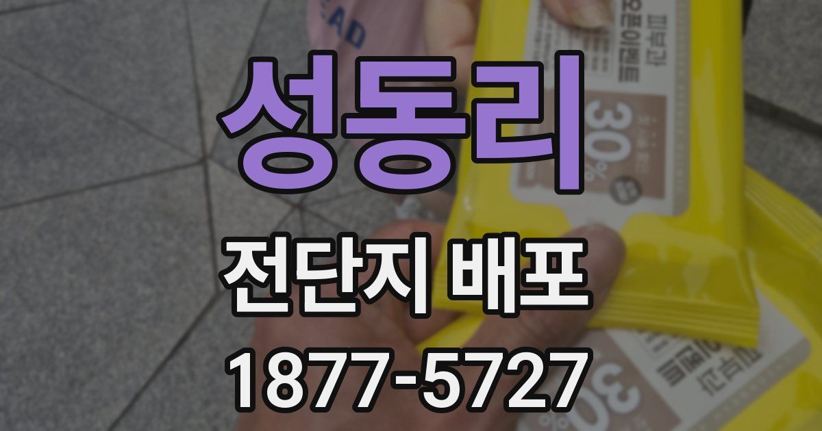 성동리 전단지 배포