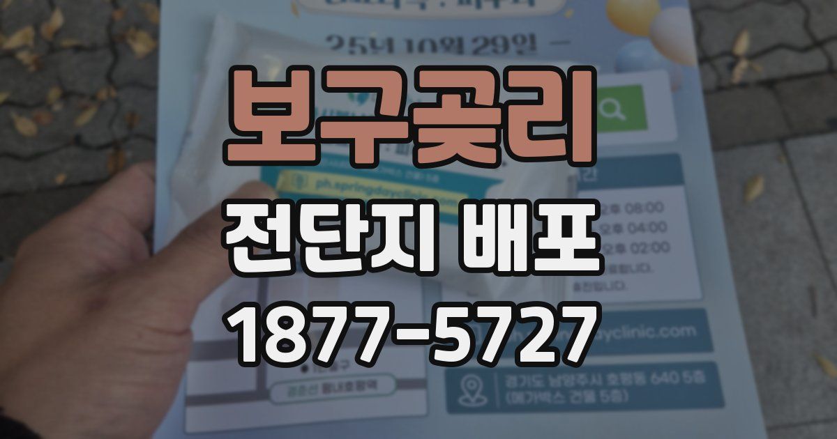 보구곶리 전단지 배포