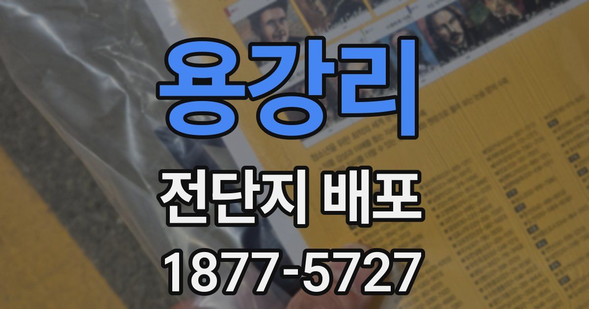 용강리 전단지 배포
