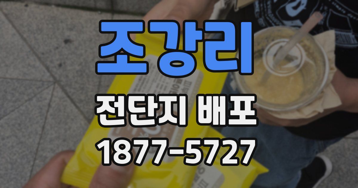 조강리 전단지 배포